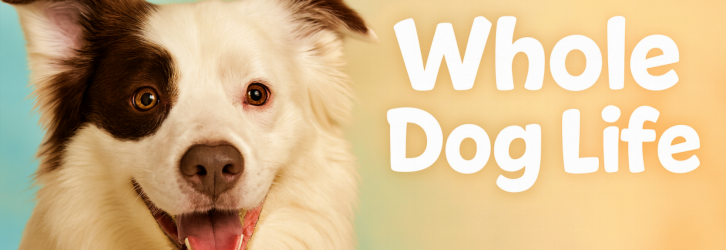 Whole Dog Life