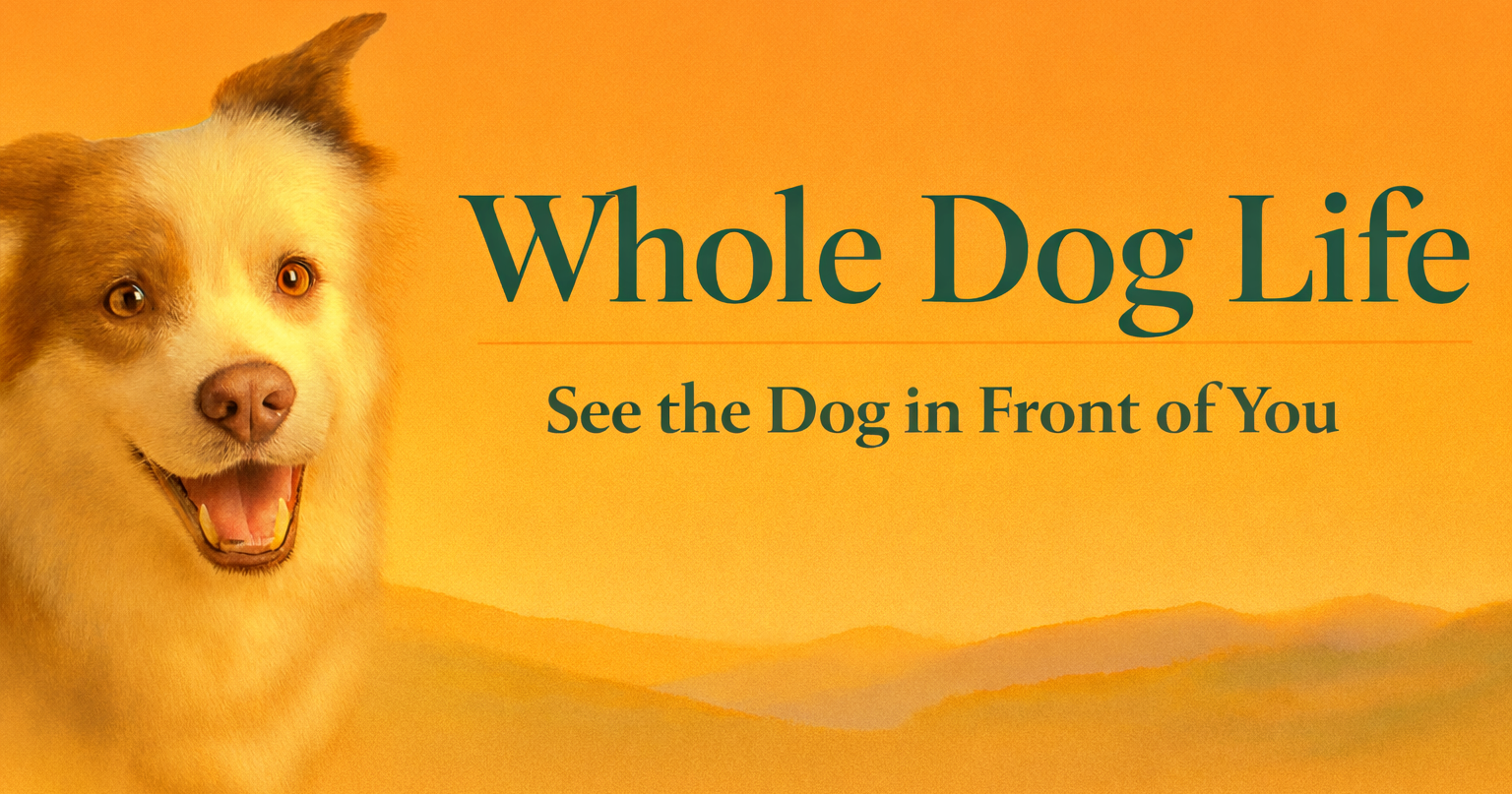 Whole Dog Life homepage header featuring the site’s mascot dog, representing calm presence, understanding dogs beyond behavior, and seeing the dog in front of you